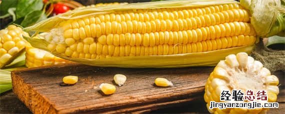 中科玉509玉米品种介绍 中科玉516玉米品种介绍