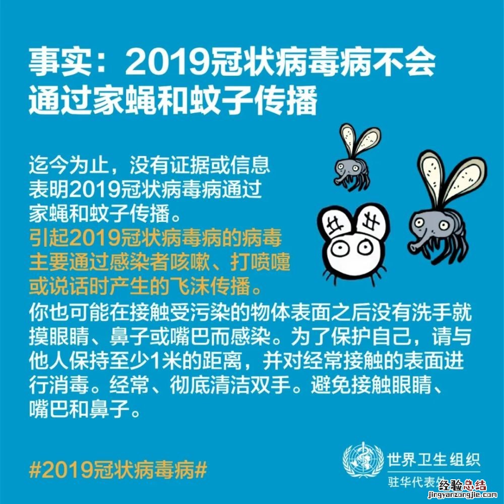 新冠病毒会不会通过蚊子传播? 新冠病毒会不会通过蚊子传播