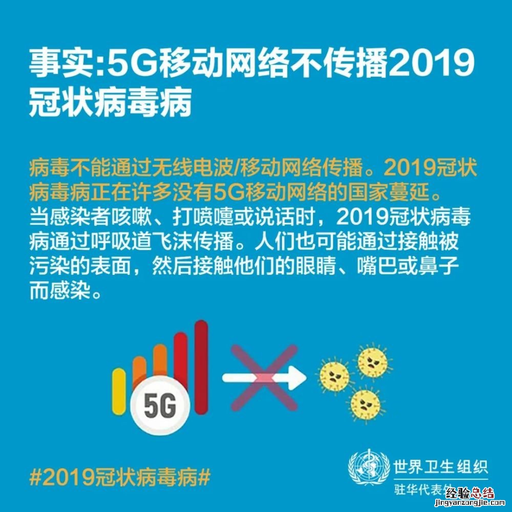 新冠病毒会不会通过蚊子传播? 新冠病毒会不会通过蚊子传播