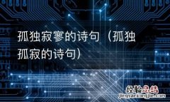 孤独孤寂的诗句 孤独寂寥的诗句