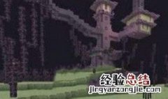 紫颂果能干什么 紫颂果有什么用