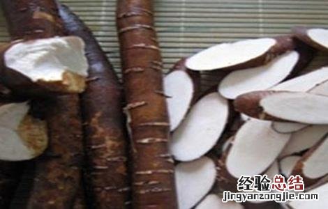 西洋参种植技术 青羊参种植技术