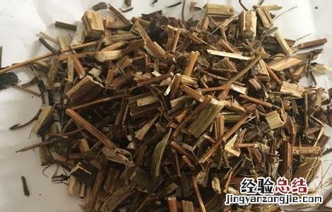 鬼针草的主要品种 鬼针草的主要品种有哪些