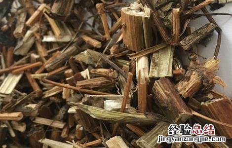 鬼针草的主要品种 鬼针草的主要品种有哪些