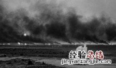 地球之盐是第几届奥斯卡 了解一下地球之盐的剧情故事