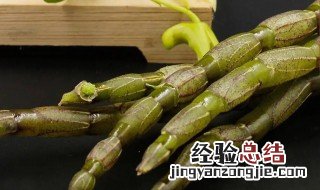 石斛的营养价值是什么 石斛的营养价值