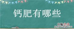 基施的钙肥有哪些 钙肥有哪些