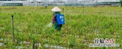 农药有哪些种类 酸性农药有哪些种类