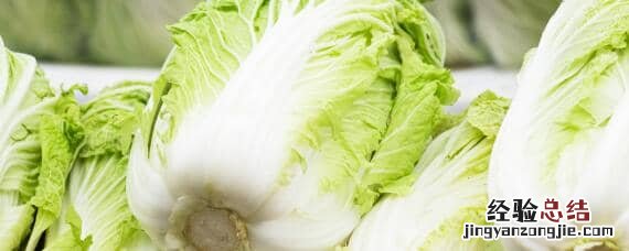 大白菜软腐病用什么药? 大白菜软腐病用什么药
