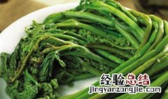 蕨菜是什么菜 蕨菜的介绍