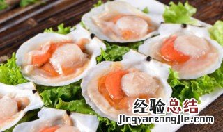 红扇贝和白扇贝的区别是什么 红扇贝和白扇贝的区别