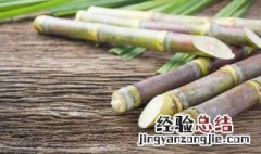 马蹄和甘蔗煮水的做法 甘蔗和马蹄一起煮有什么功效