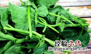 南瓜叶有什么用 南瓜叶有什么功效啊