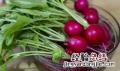 凉拌心里美萝卜的做法 凉拌心里美萝卜的做法窍门