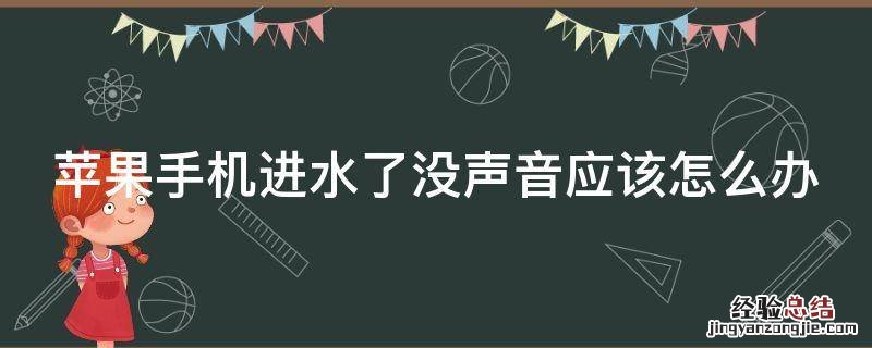 苹果手机进水了没声音了怎么办 苹果手机进水了没声音应该怎么办
