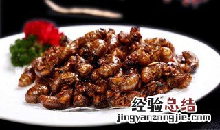 知了猴不能和什么一起吃 哪些食物不能和知了猴一起吃
