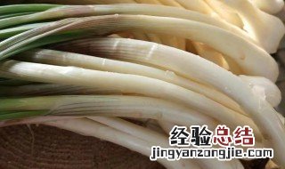 藠头的功效与作用 藠头的功效与作用的介绍