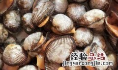 新鲜毛蚶怎么存放 如何保存新鲜毛蚶