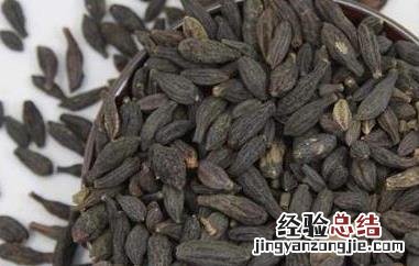 青果干怎么吃最好吃 青果干怎么吃最好