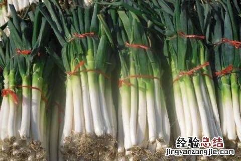 大葱与小香葱的区别 大葱小葱和香葱的区别