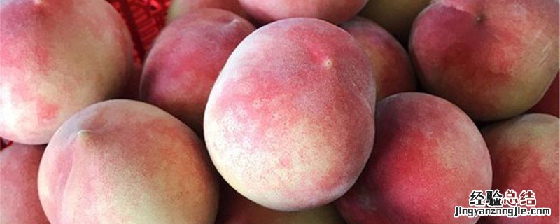 金秋红蜜桃品种介绍视频 金秋红蜜桃品种介绍