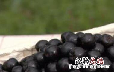 黑果花椒有什么作用 黑果花椒的功效与作用及禁忌