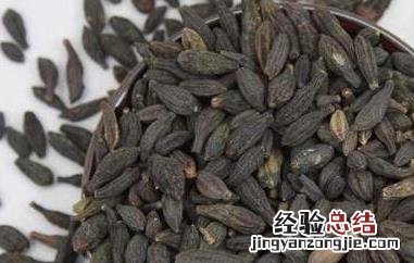 青果干的功效与作用 青果干的功效与作用及禁忌症