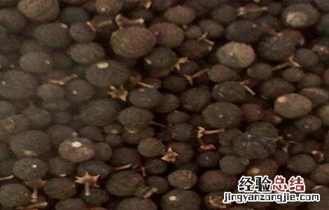 枳实适合什么地方种植 枳实适合什么地方种植呢