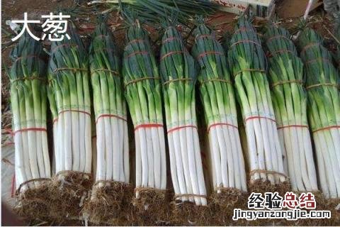小葱大葱的区别 大葱小葱区别