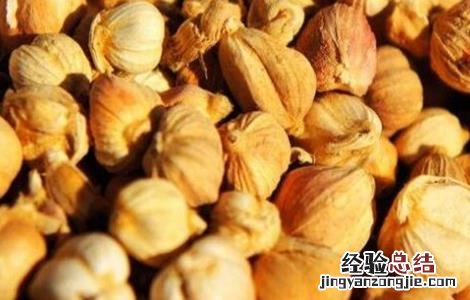 豆蔻的种植方法和管理 豆蔻的种植方法