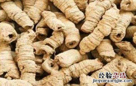 巴戟天怎么种 巴戟天北方能种吗