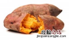 地瓜是红薯吗 地瓜是不是红薯