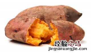 地瓜是红薯吗 地瓜是不是红薯