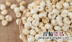 平贝母的作用 平贝母的营养价值