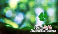 养草是什么梗