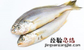 嫩鱼怎么做好吃又嫩 鱼怎么做吃起来很嫩