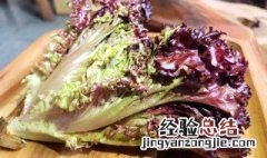 紫叶生菜和生菜的区别是什么 紫叶生菜和生菜的区别介绍