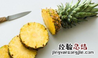 凤梨和菠萝的区别是什么 凤梨和菠萝的区别