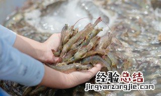 买的活虾吃不完怎么保鲜 怎么保存活虾