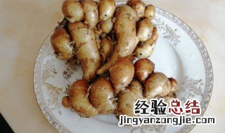 沙姜的功效与作用及禁忌 沙姜的功效与作用及禁忌是什么