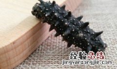 常吃海参有什么效果 常年吃海参有什么好处
