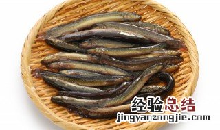 泥鳅红烧泥鳅的做法 家常红烧泥鳅的做法