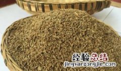 孜然粉可以直接撒上去吃吗 孜然粉可以直接蘸着吃吗
