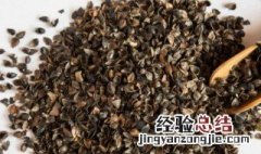 荞麦壳的功效与作用 荞麦壳的功效与作用枕头
