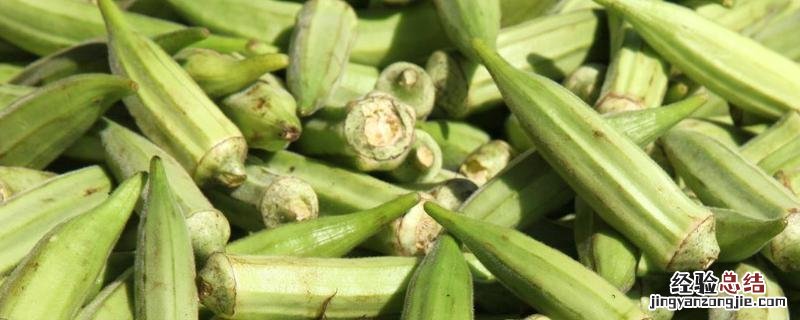 秋葵的种子可以种植吗，开花结果期需要足够水分