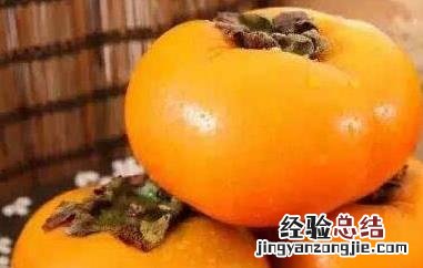 甜柿的功效和作用 甜柿的功效和作用是什么