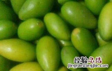 新鲜的青橄榄怎么吃 青橄榄怎么吃