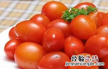 千禧小柿子的功效與作用 小柿子的功效與作用