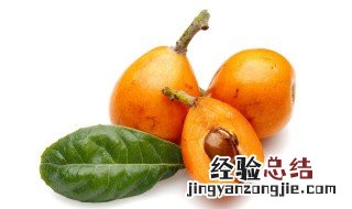 4月份枇杷好吃吗 枇杷好吃吗