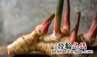 南姜是不是良姜 南姜和良姜是一样的吗